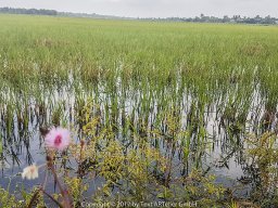 TA_GmbH-72dpi-20171020_083403